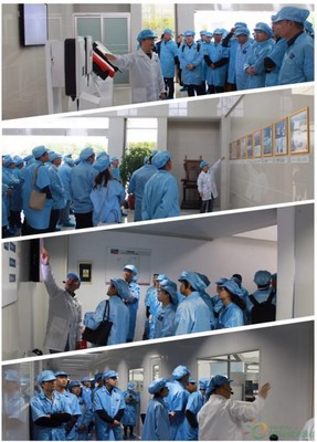 聚享綠色能源，共筑智能未來——SMA揚中工廠開放日活動圓滿落幕