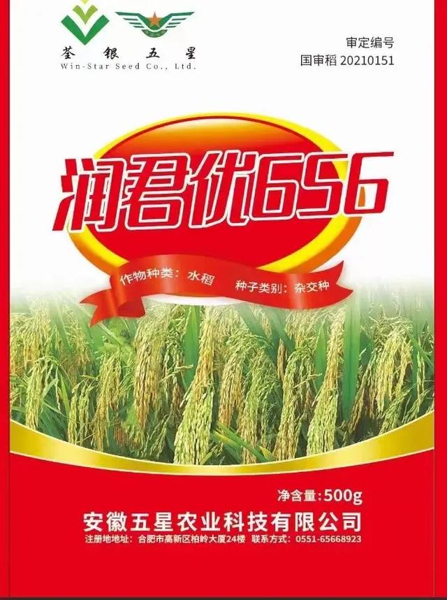 潤君優(yōu)656.最強(qiáng)一代香稻米,解決香稻,抗倒,產(chǎn)量低的問題
